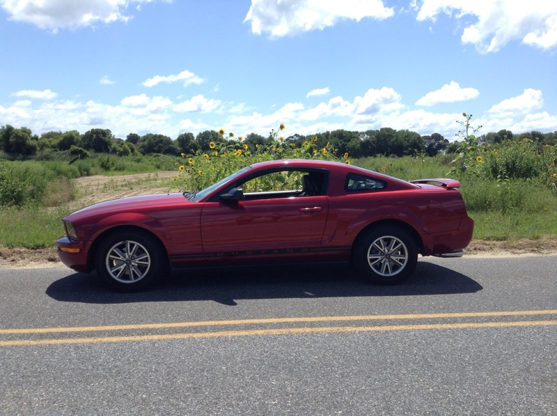 Illustration for article titled Let's post up pictures of all the Mustangs (and variants) I've had